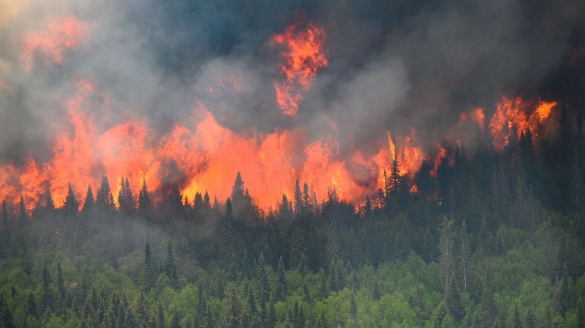 Canadian Wild Fires