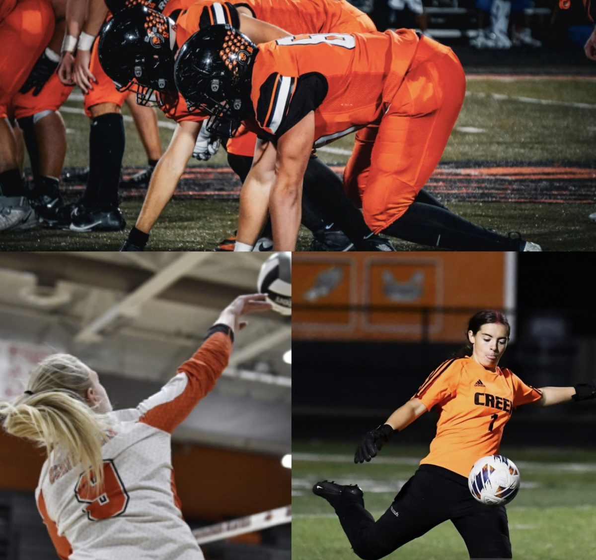 Seniors Stand Out in Fall Sports Spotlight