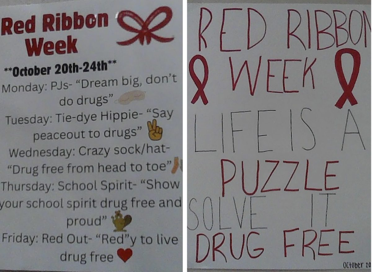 Red Ribbon Week at BHS