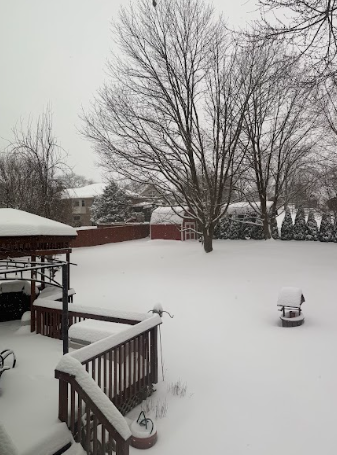 BHS Students Enjoy Snow Days